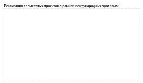 Реализация совместных проектов в рамках международных программ