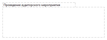 Проведение аудиторского мероприятия